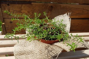 20170812_110105.jpg